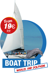 boat trip offer